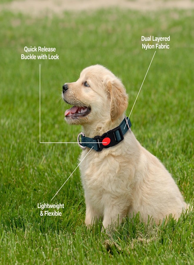 ADIL's Adjustable 19mm Nylon Dog & Cat Collar - Suitable for Small & Medium Sized Dogs, Cats & Rabbits with Quick Release Strong Plastic Lock Buckle, Colour:Hunter Green,Size: S - Image 3